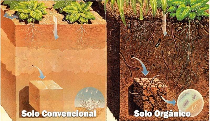 Sistema de plantio convencional comparado ao sistema de plantio direto. A imagem mostra dois blocos de solo, com as características de cada tipo de solo esquematizadas.