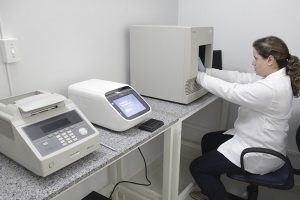 TÉCNICA NÃO INVASIVA BASEADA EM PCR PARA DETERMINAÇÃO DO SEXO