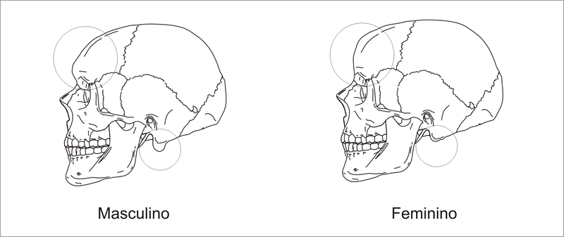 identificação genética e outras metodologias