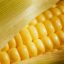 Detecção de OGMs – Identificação de eventos específicos