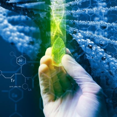 qPCR