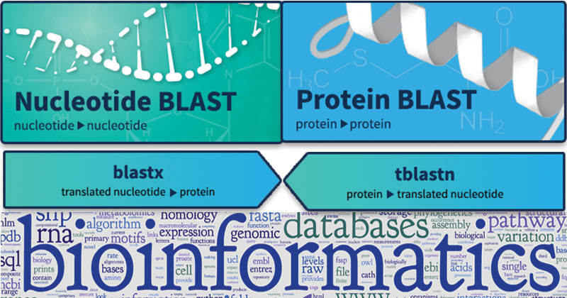 Bioinformata: 6 dicas para trabalhar com bioinformática