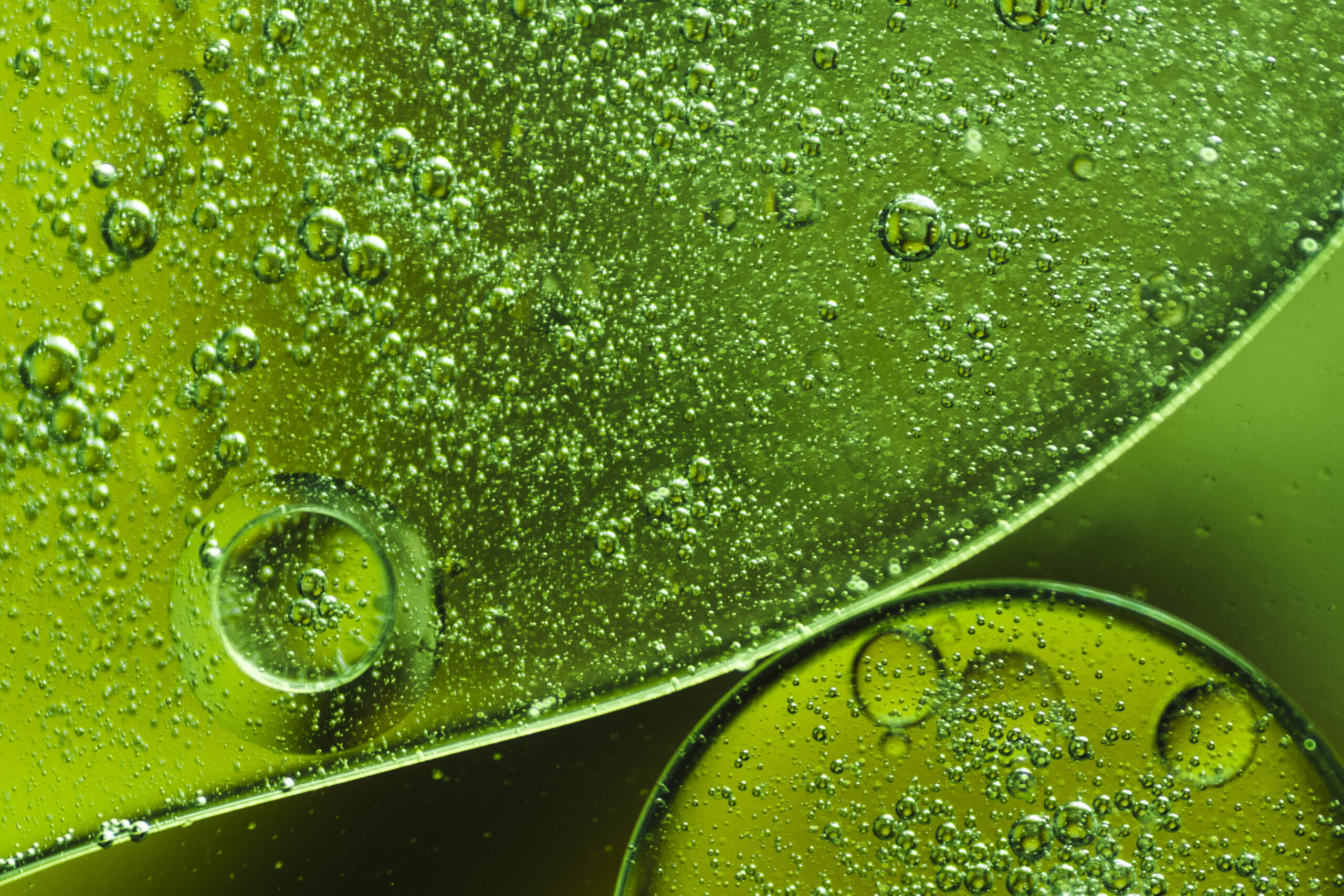 Nova enzima brasileira para quebra de celulose pode transformar a produção mundial de biocombustíveis 